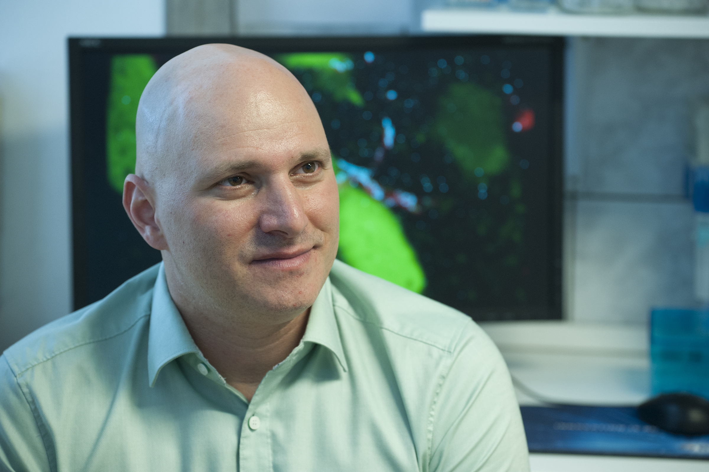 denes-adam-agykutato-mikroglia-immunrendszer-gyulladas Dénes Ádám agykutató