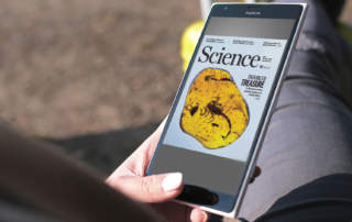Új idegpálya a sajtóban - Science