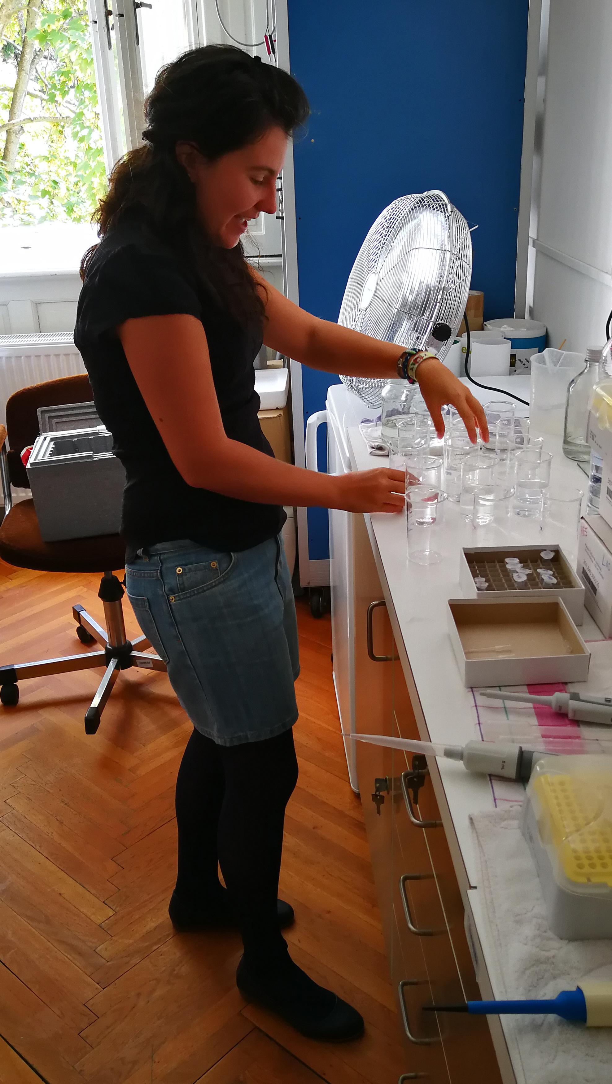 MTA-ÖK BLI_NAP Adaptációs Neuroetológiai Kutatócsoport – Svigruha Réka. Krónikus kezelési kísérlet a nagy vízibolha (Daphnia magna) tesztállaton a Balatonból kimutatható gyógyszerhatóanyagokkal MTA-ÖK BLI_NAP Adaptációs Neuroetológiai Kutatócsoport – Svigruha Réka. Krónikus kezelési kísérlet a nagy vízibolha (Daphnia magna) tesztállaton a Balatonból kimutatható gyógyszerhatóanyagokkal